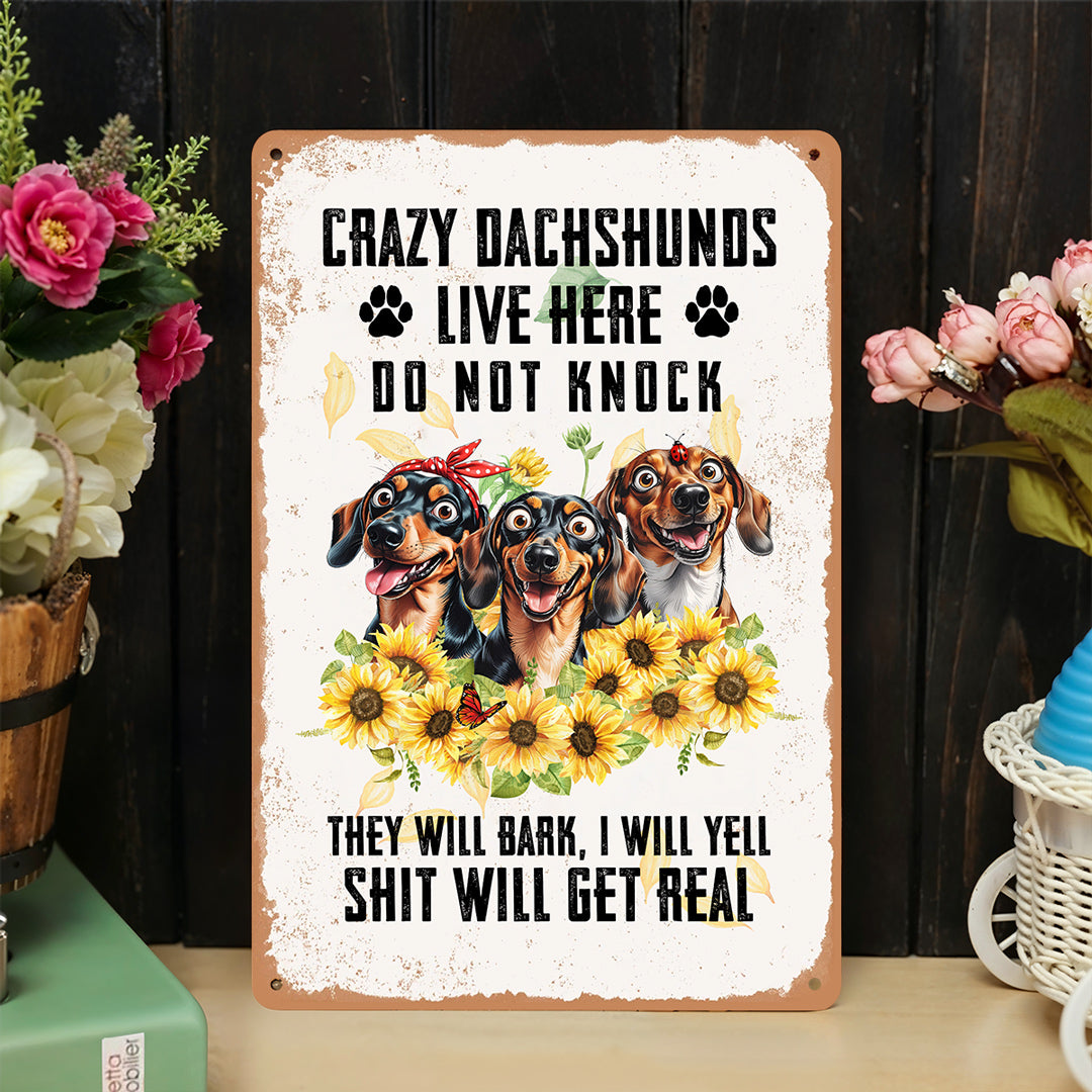 Dachshund 2D Metal Sign Crazy Dachshunds Live Here