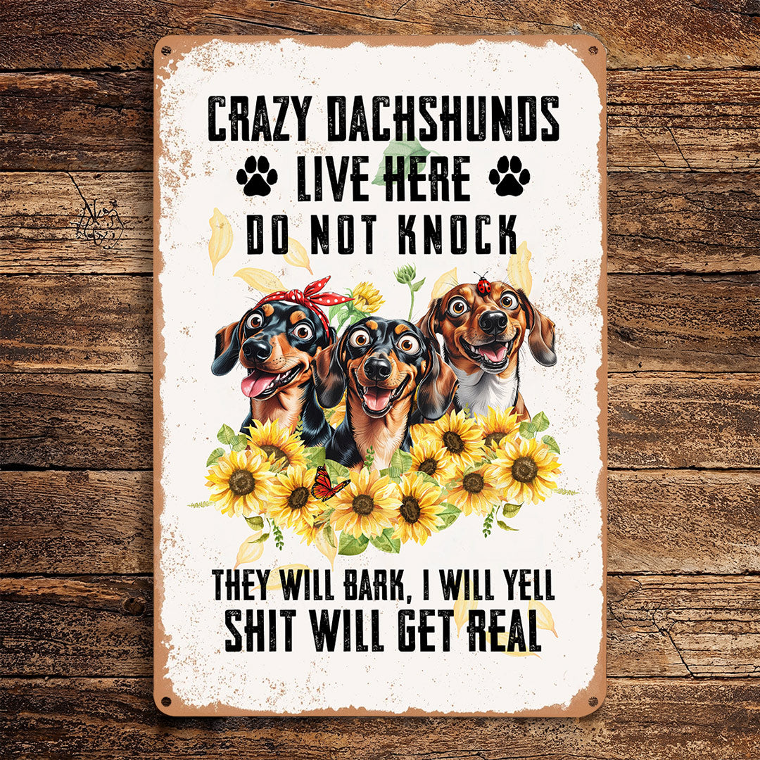 Dachshund 2D Metal Sign Crazy Dachshunds Live Here