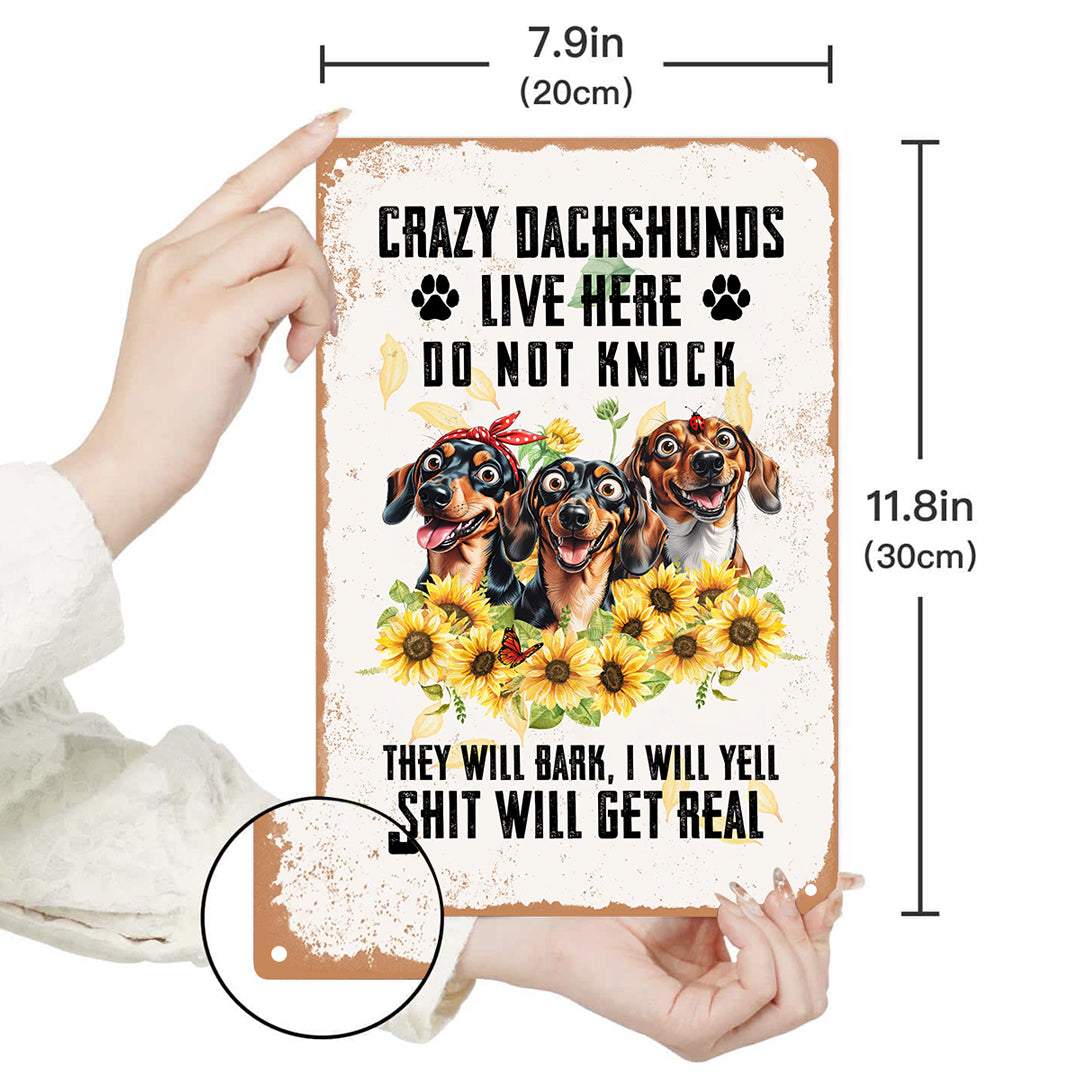 Dachshund 2D Metal Sign Crazy Dachshunds Live Here