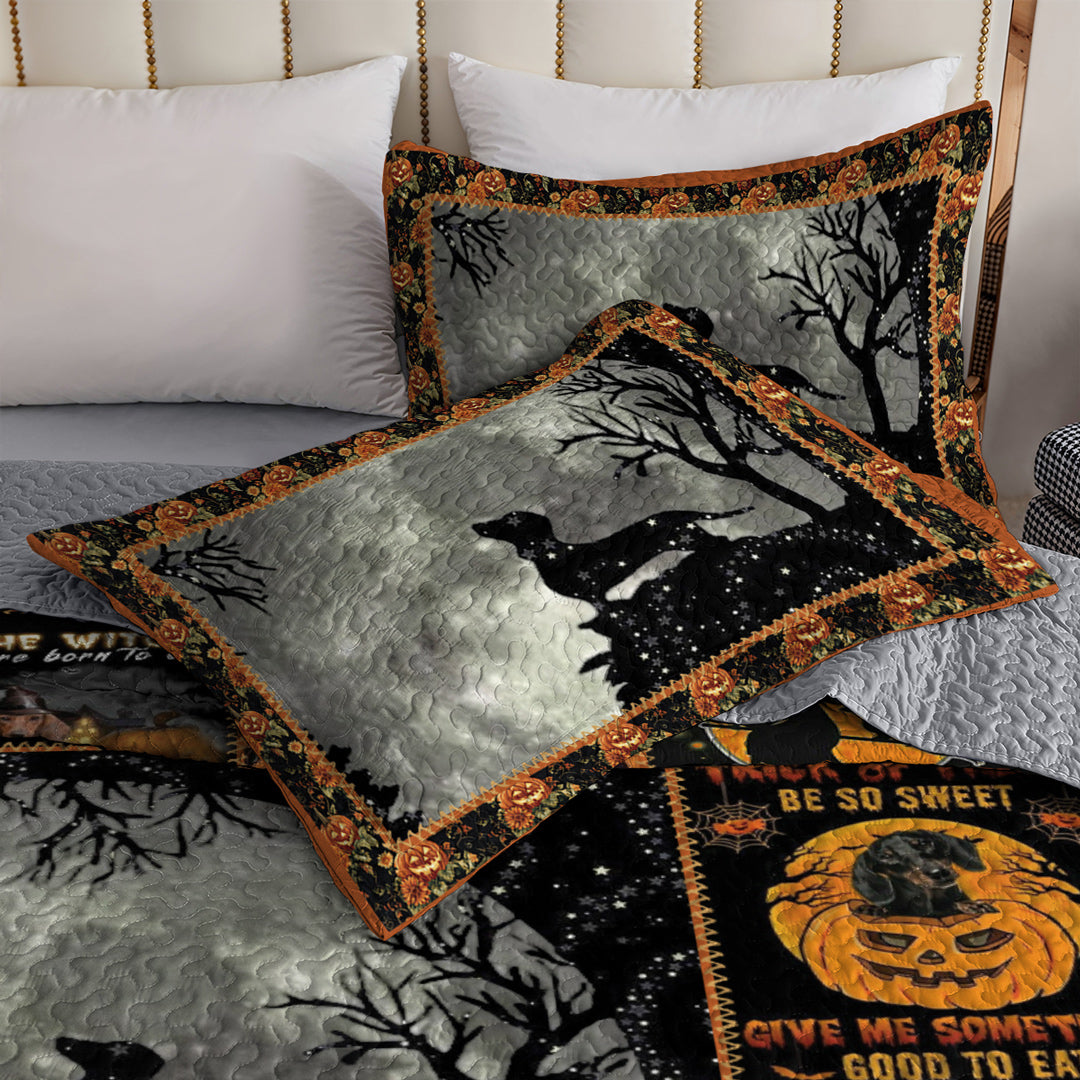 Dachshund All Season Quilt 3-Piece Set The Dachshund Witch