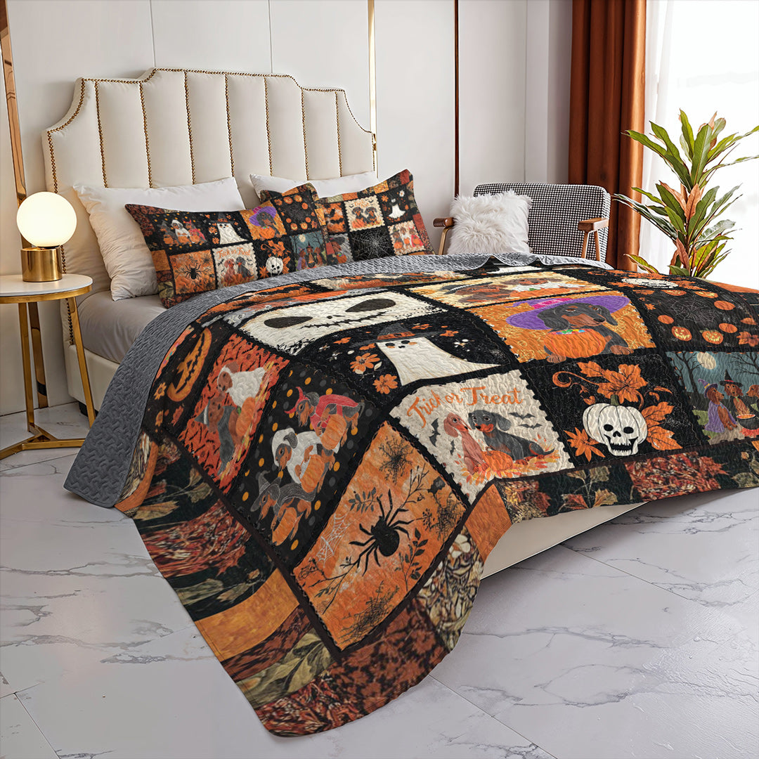 Dachshund All Season Quilt 3-Piece Set Pumpkin Paws