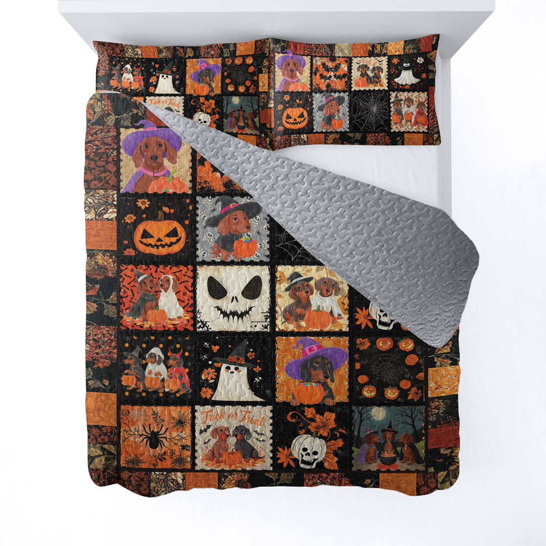 Dachshund All Season Quilt 3-Piece Set Pumpkin Paws