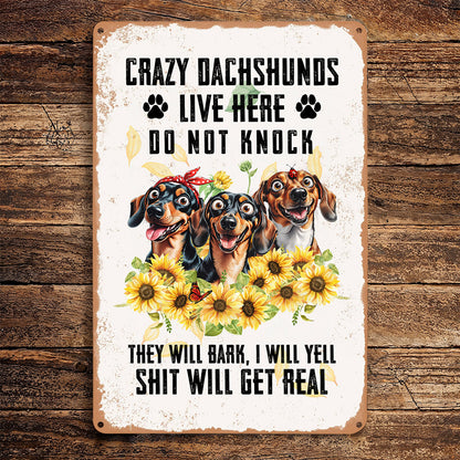 Dachshund 2D Metal Sign Crazy Dachshunds Live Here